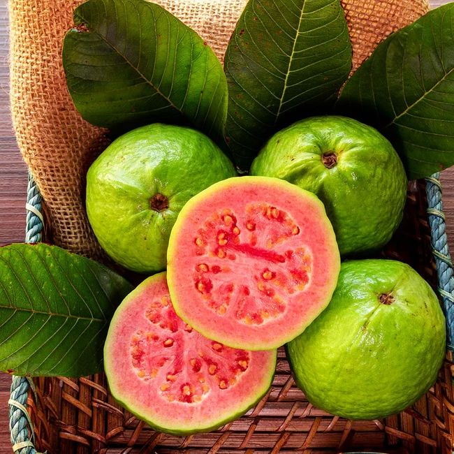  Guava